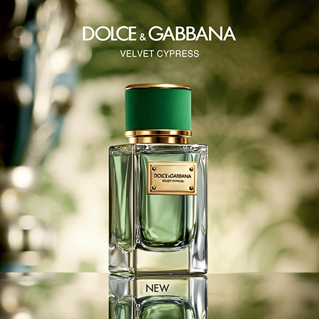 Velvet Cypress, Dolce&Gabbana parfem
