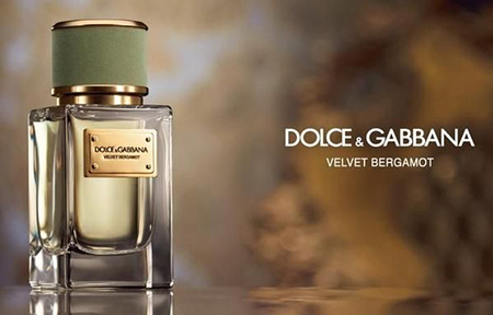 Velvet Bergamot, Dolce&Gabbana parfem
