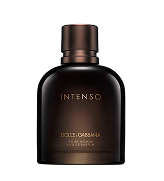 Dolce&Gabbana Pour Homme Intenso tester, Dolce&Gabbana parfem